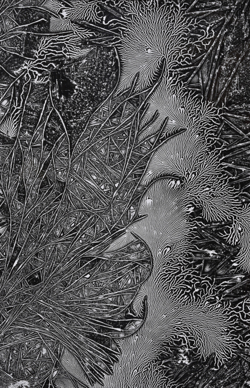 Carousel Image number 6